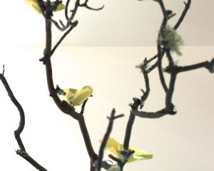 Branch Office (Series)