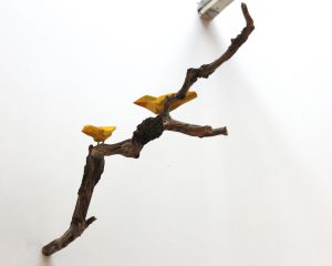 Branch Office (Series)